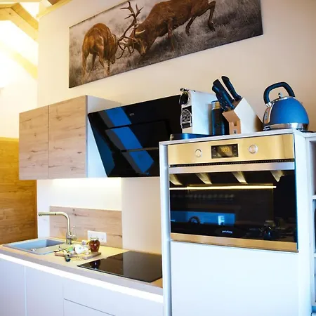 Apartment Leos Alpenchalet - Inclusive Sommer Bergbahnticket Und E-auto Ladestation *