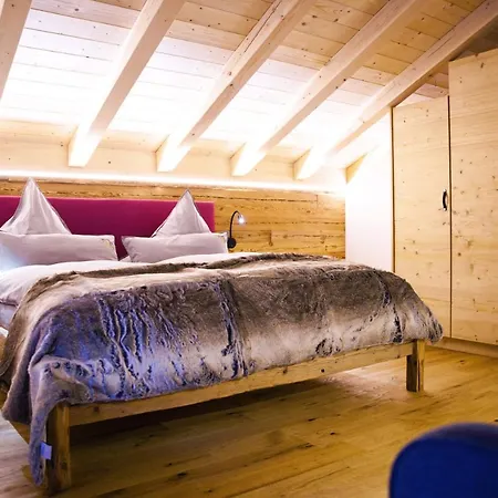 Leos Alpenchalet - Inclusive Sommer Bergbahnticket Und E-auto Ladestation * 奥伯斯特多夫